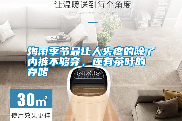 梅雨季節(jié)最讓人頭疼的除了內(nèi)褲不夠穿，還有茶葉的存儲