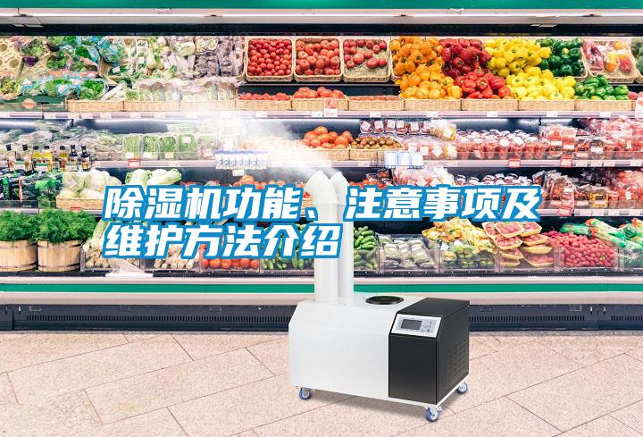 除濕機(jī)功能、注意事項(xiàng)及維護(hù)方法介紹
