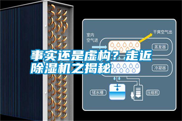 事實還是虛構？走近除濕機之揭秘