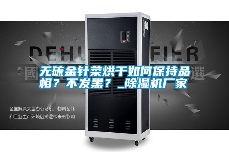 無(wú)硫金針菜烘干如何保持品相？不發(fā)黑？_除濕機(jī)廠家