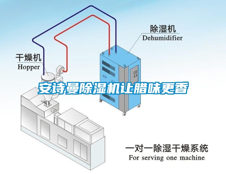 安詩(shī)曼除濕機(jī)讓臘味更香