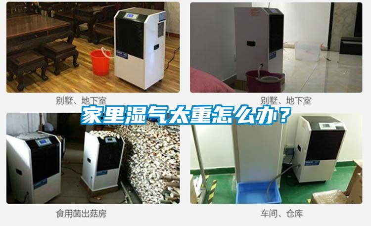 家里濕氣太重怎么辦？