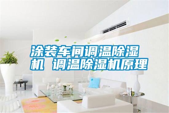 涂裝車間調(diào)溫除濕機 調(diào)溫除濕機原理