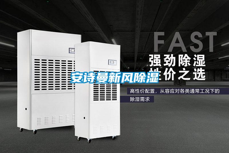 安詩曼新風(fēng)除濕