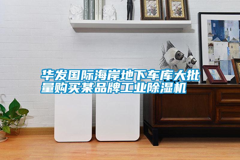 華發(fā)國際海岸地下車庫大批量購買某品牌工業(yè)除濕機