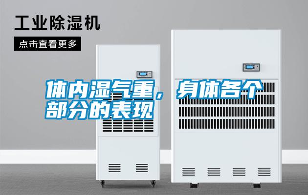 體內(nèi)濕氣重，身體各個(gè)部分的表現(xiàn)