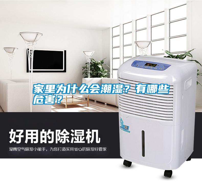 家里為什么會潮濕？有哪些危害？