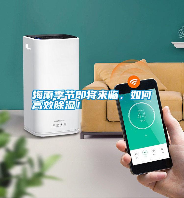 梅雨季節(jié)即將來臨，如何高效除濕！