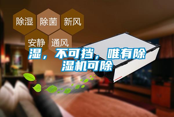 濕，不可擋，唯有除濕機(jī)可除