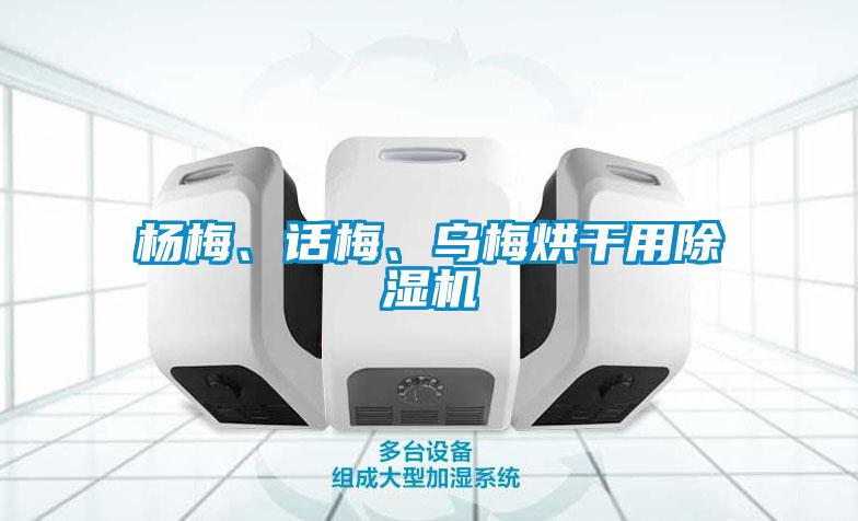 楊梅、話梅、烏梅烘干用除濕機