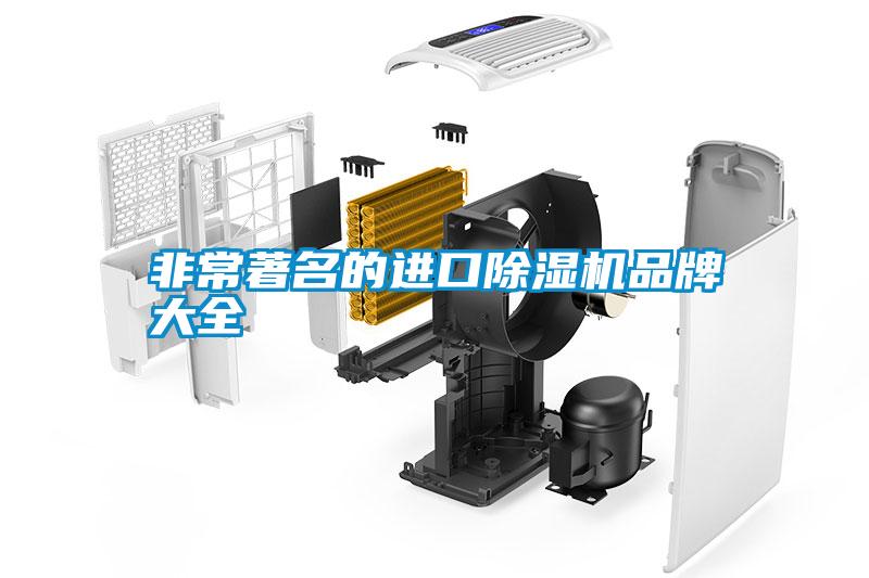 非常著名的進(jìn)口除濕機(jī)品牌大全