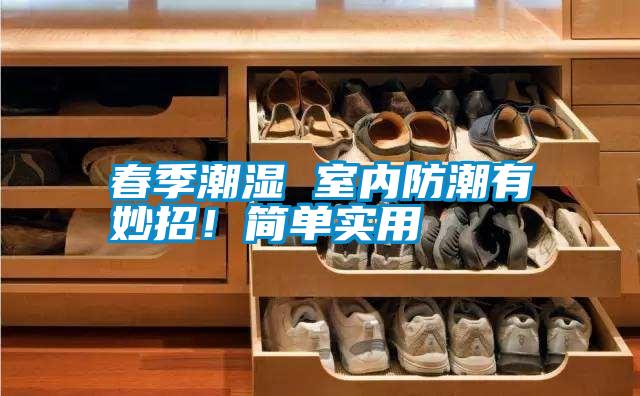 春季潮濕 室內(nèi)防潮有妙招！簡(jiǎn)單實(shí)用