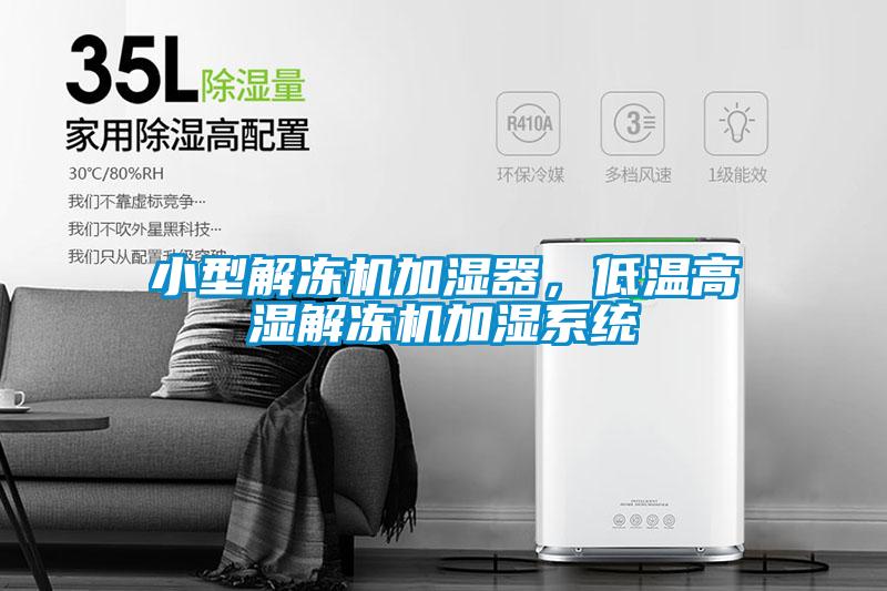 小型解凍機(jī)加濕器，低溫高濕解凍機(jī)加濕系統(tǒng)
