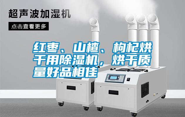 紅棗、山楂、枸杞烘干用除濕機(jī)，烘干質(zhì)量好品相佳