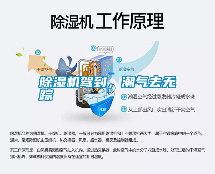 除濕機駕到，潮氣去無蹤