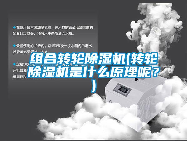 組合轉(zhuǎn)輪除濕機(jī)(轉(zhuǎn)輪除濕機(jī)是什么原理呢？)