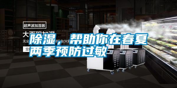 除濕，幫助你在春夏兩季預(yù)防過敏