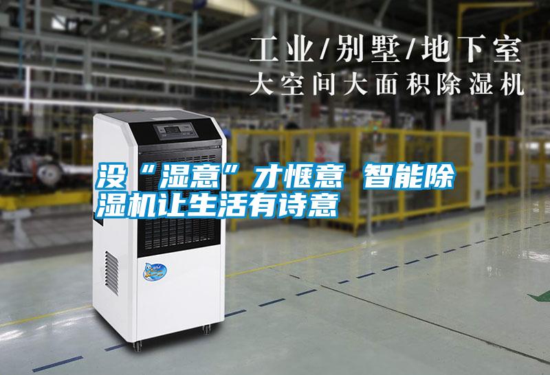 沒“濕意”才愜意 智能除濕機(jī)讓生活有詩意