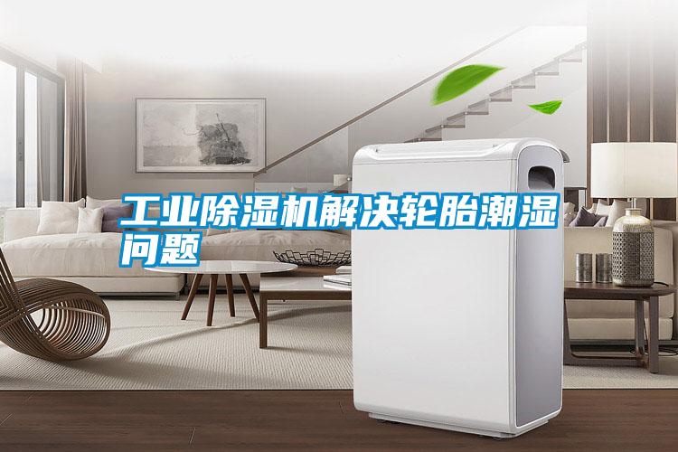 工業(yè)除濕機解決輪胎潮濕問題
