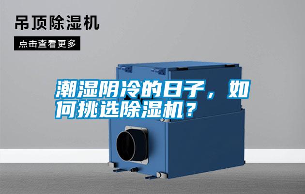 潮濕陰冷的日子，如何挑選除濕機？