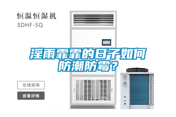 淫雨霏霏的日子如何防潮防霉？