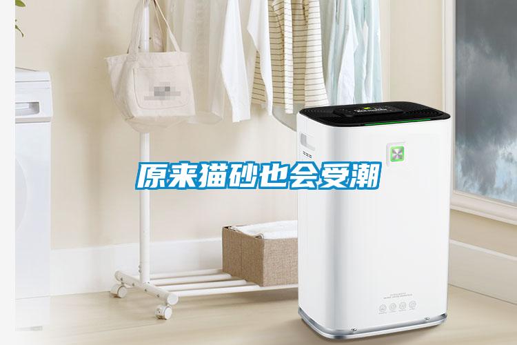 原來(lái)貓砂也會(huì)受潮