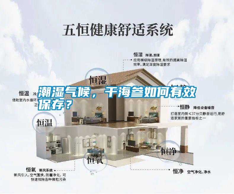 潮濕氣候，干海參如何有效保存？