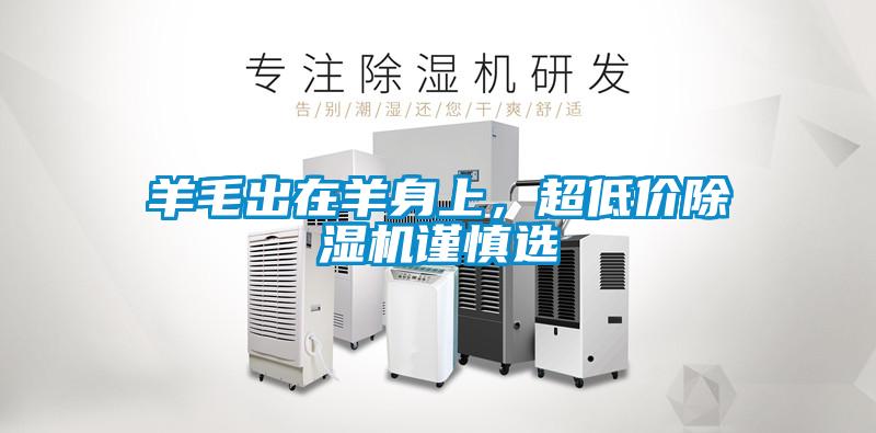 羊毛出在羊身上，超低價除濕機謹慎選