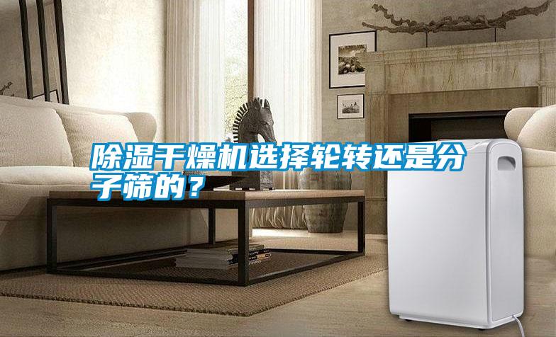 除濕干燥機選擇輪轉(zhuǎn)還是分子篩的？