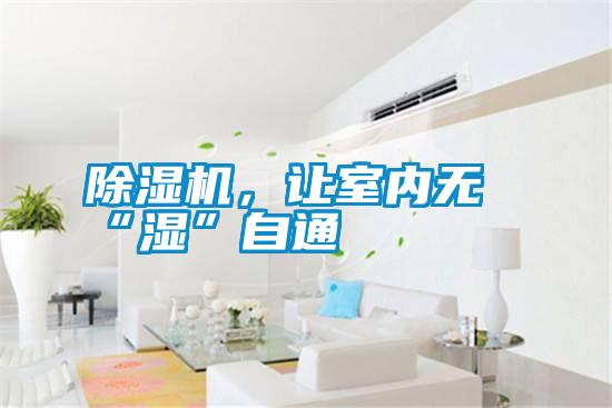 除濕機，讓室內(nèi)無“濕”自通