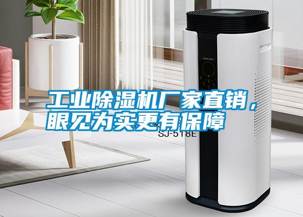 工業(yè)除濕機(jī)廠家直銷(xiāo)，眼見(jiàn)為實(shí)更有保障