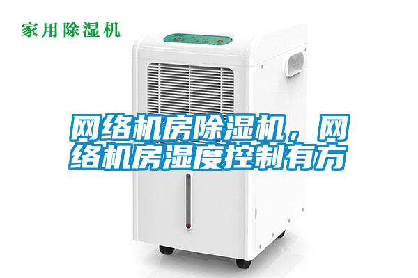 網(wǎng)絡(luò)機(jī)房除濕機(jī)，網(wǎng)絡(luò)機(jī)房濕度控制有方