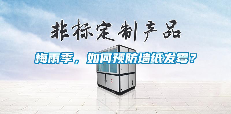 梅雨季，如何預(yù)防墻紙發(fā)霉？