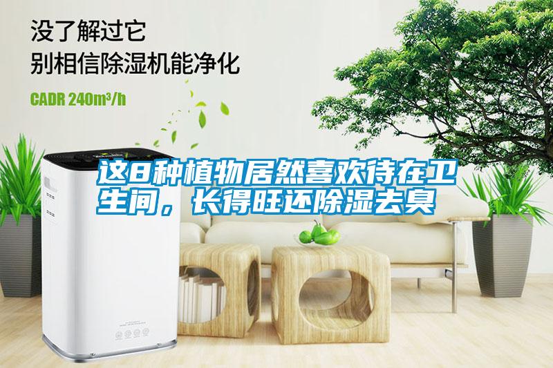這8種植物居然喜歡待在衛(wèi)生間，長(zhǎng)得旺還除濕去臭