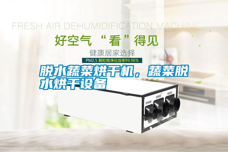 脫水蔬菜烘干機(jī)，蔬菜脫水烘干設(shè)備