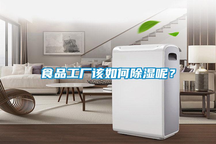 食品工廠該如何除濕呢？