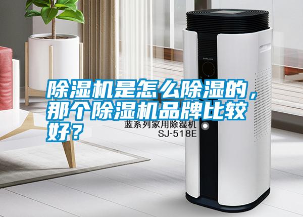 除濕機(jī)是怎么除濕的，那個除濕機(jī)品牌比較好？