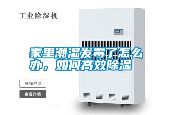 家里潮濕發(fā)霉了怎么辦，如何高效除濕
