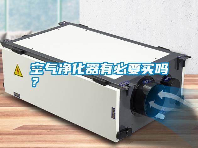 空氣凈化器有必要買嗎？