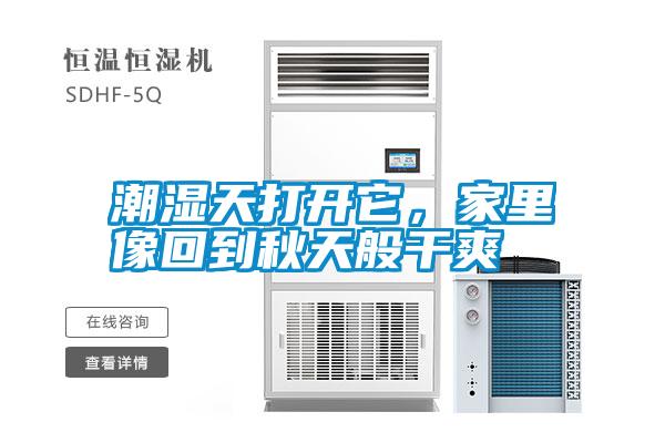 潮濕天打開它，家里像回到秋天般干爽