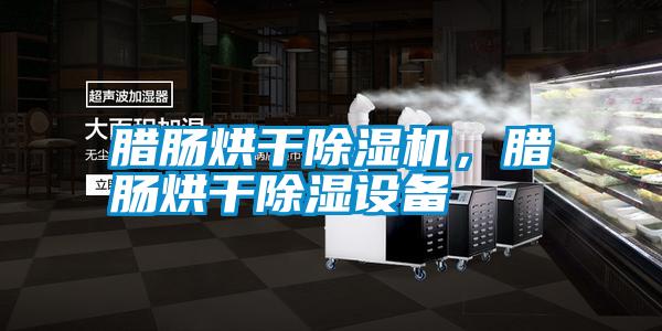 臘腸烘干除濕機(jī)，臘腸烘干除濕設(shè)備