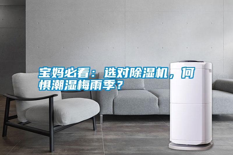 寶媽必看：選對除濕機，何懼潮濕梅雨季？