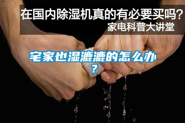 宅家也濕漉漉的怎么辦？
