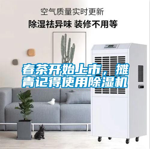 春茶開始上市，攤青記得使用除濕機(jī)