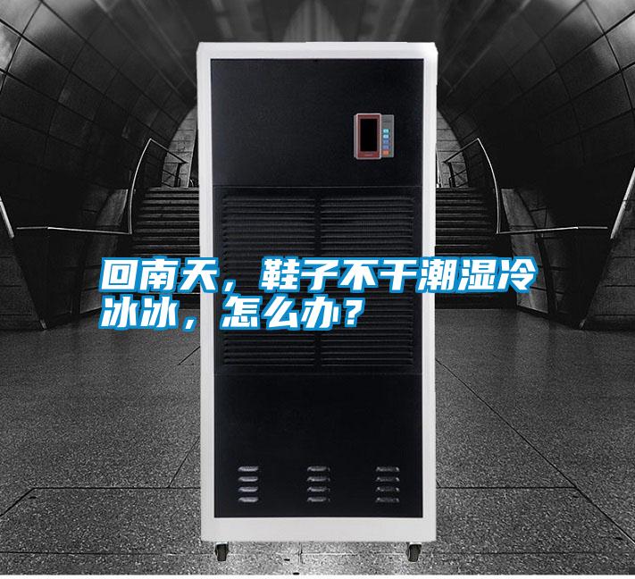 回南天，鞋子不干潮濕冷冰冰，怎么辦？