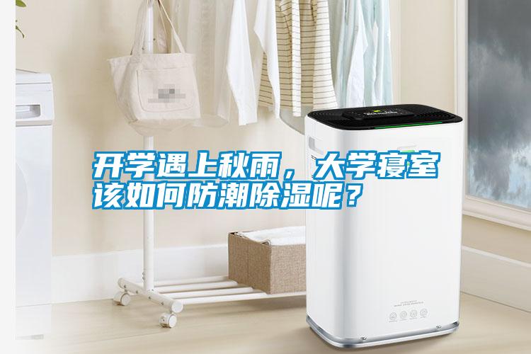 開學遇上秋雨，大學寢室該如何防潮除濕呢？