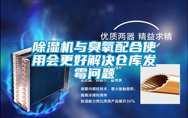 除濕機(jī)與臭氧配合使用會(huì)更好解決倉庫發(fā)霉問題