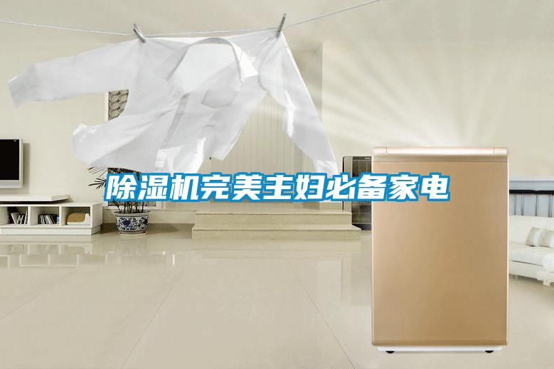 除濕機(jī)完美主婦必備家電