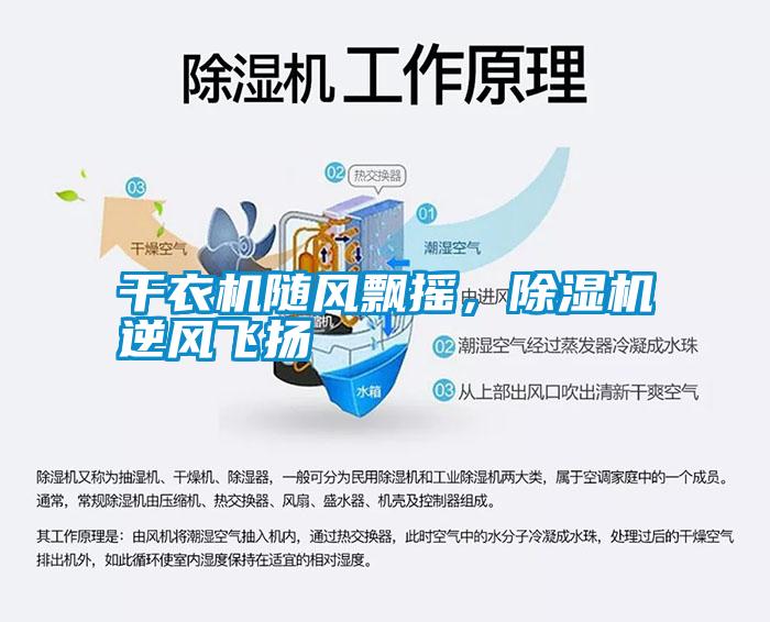 干衣機隨風飄搖，除濕機逆風飛揚