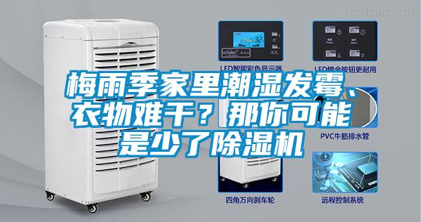 梅雨季家里潮濕發(fā)霉、衣物難干？那你可能是少了除濕機(jī)
